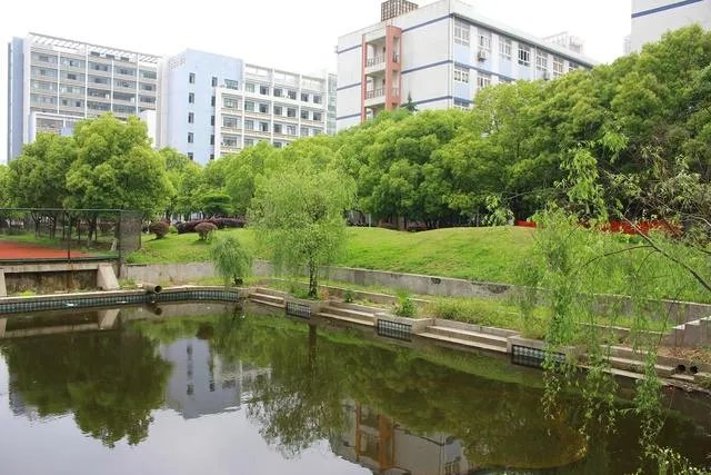 武汉长江职业学院全国专科排名第几？