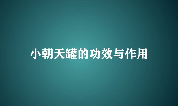 小朝天罐的功效与作用