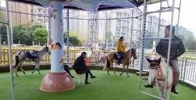 成都旋转真马游戏，乘坐旋转真马该注意哪些？