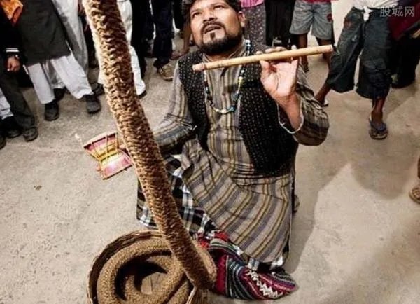 印度通天绳到底是怎么回事？有人知道吗？不要说群体催眠术之类的！希望赐教！