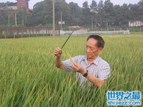 袁隆平身价多少亿？世界首富当之无愧！ 