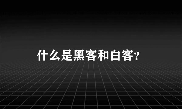 什么是黑客和白客？