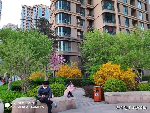 你眼里的春天是什么样子的?