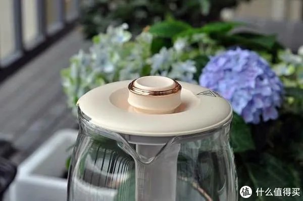 养生壶食谱大全及做法