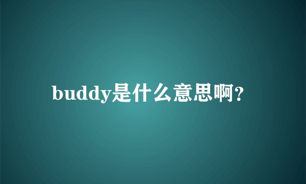 buddy是什么意思啊？