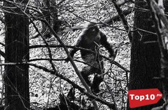 死亡之虫显真身！全球十大震惊世界的神秘怪兽