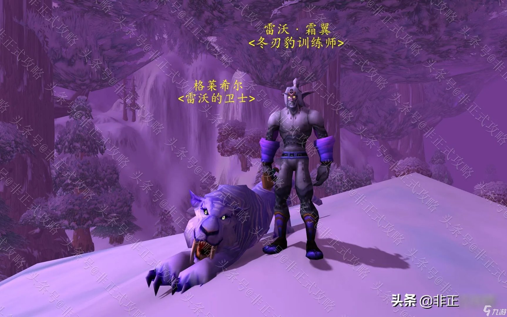 魔兽冬泉谷霜刃豹怎么获取 冬泉谷霜刃豹坐骑任务全流程攻略