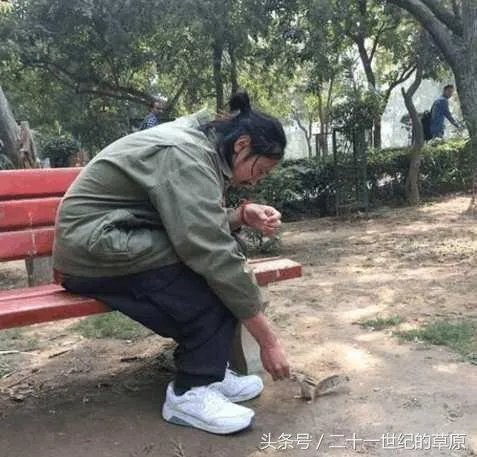 《爱情公寓5》还会出吗？