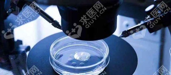 华中科技大学同济医学院附属同济医院试管婴儿怎么样?