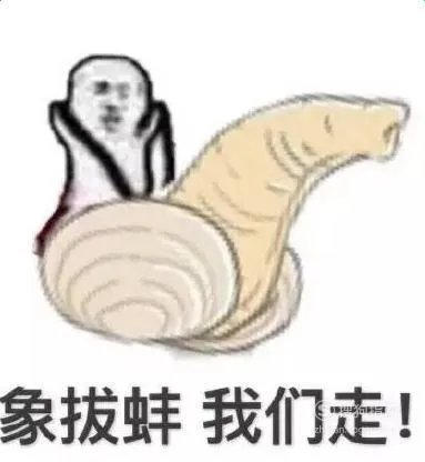 象拔蚌什么梗？