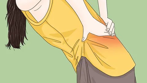 虎皮兰的功效与作用