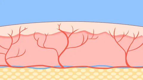 血管硬化可以吃什么