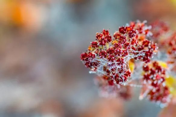 2020立冬是哪一天什么时间 立冬是几月几号2020年