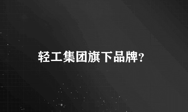 轻工集团旗下品牌？