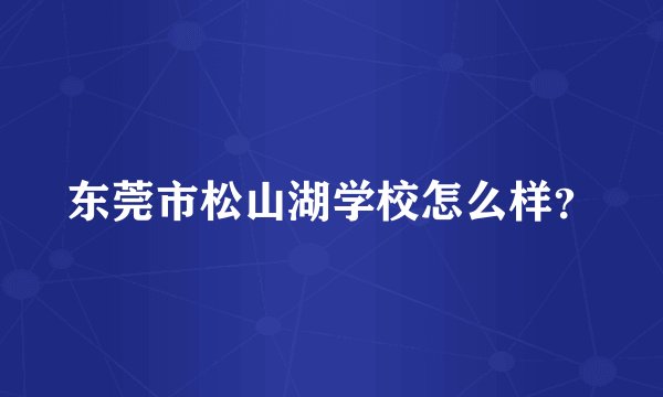 东莞市松山湖学校怎么样？