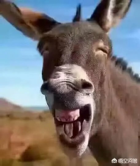 涉事女演员彭丹回应：1200万迈巴赫撞了800万劳斯莱斯事件，情商高吗？