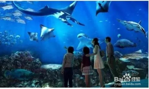 五一小长假去哪里玩呢？