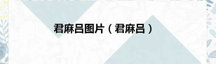 君麻吕图片（君麻吕）