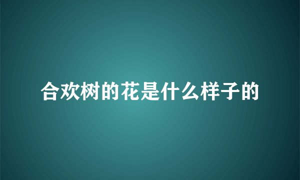 合欢树的花是什么样子的