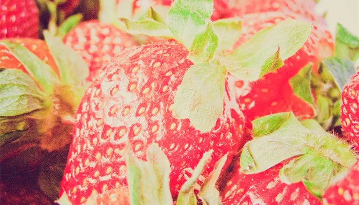 fruit是可数名词吗