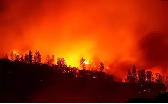 亚马逊雨林烧了3个星期，什么原因导致雨林燃烧？