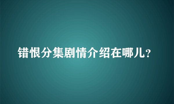错恨分集剧情介绍在哪儿？