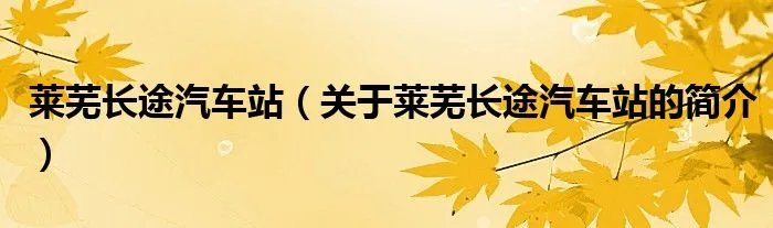 莱芜长途汽车站（关于莱芜长途汽车站的简介）