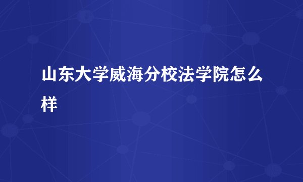 山东大学威海分校法学院怎么样