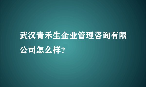 武汉青禾生企业管理咨询有限公司怎么样？