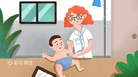 8个月的宝宝辅食吃什么