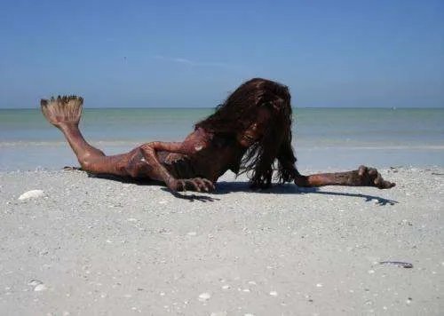 世界上真有美人鱼吗