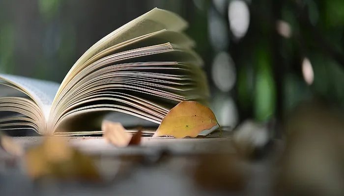 龙葵花拟人句怎么写 龙葵花拟人句怎么写有哪些