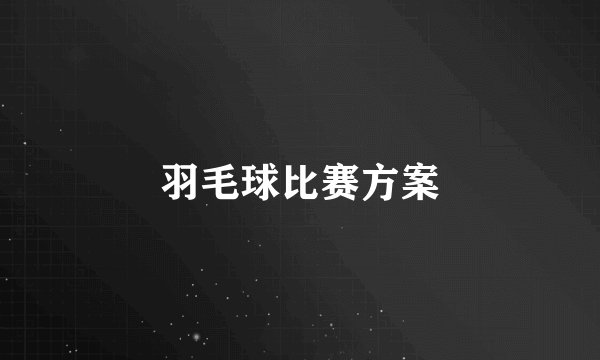 羽毛球比赛方案