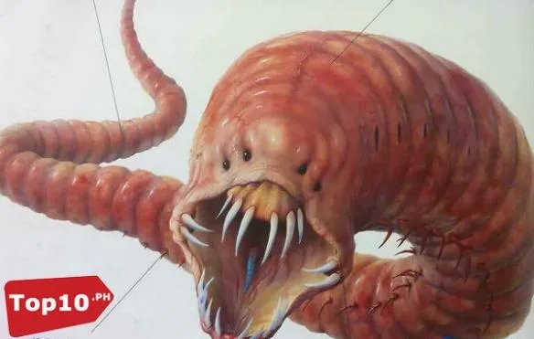 死亡之虫显真身！全球十大震惊世界的神秘怪兽