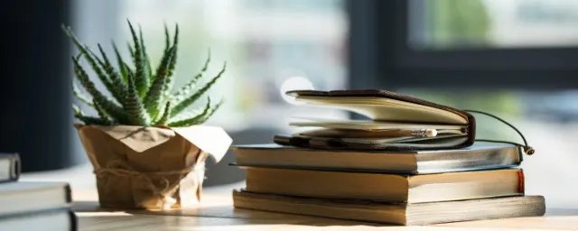 接受现实是什么意思