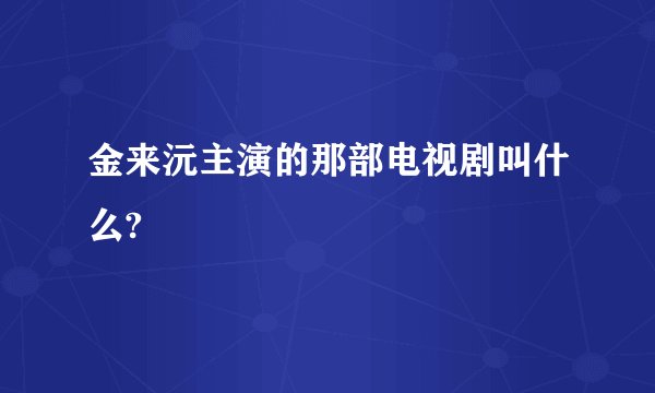 金来沅主演的那部电视剧叫什么?