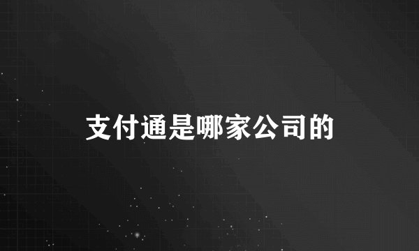 支付通是哪家公司的