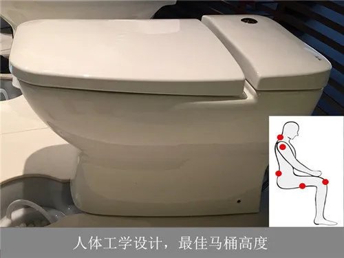 和成阿尔卑斯C3033TAW马桶评测