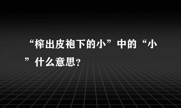 “榨出皮袍下的小”中的“小”什么意思？