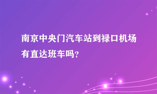 南京中央门汽车站到禄口机场有直达班车吗？
