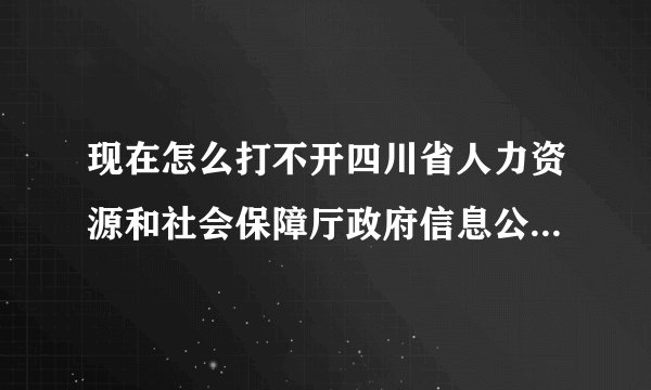 现在怎么打不开四川省人力资源和社会保障厅政府信息公开网呢！