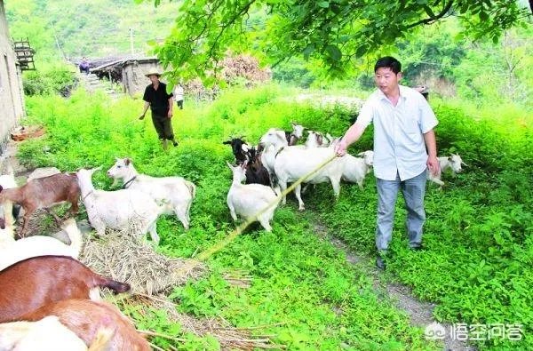 农民怎样才能发家致富?哪里的农民最赚钱？