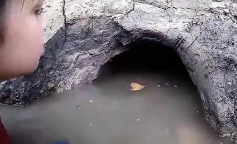 父子怪洞里竟拖出庞然大物（难忘经历过程图）