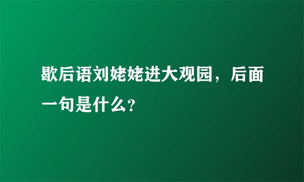 歇后语刘姥姥进大观园，后面一句是什么？