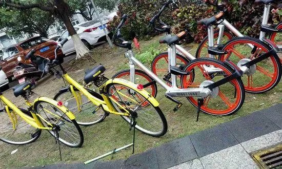 成都上百辆共享单车被活埋，是什么情况？