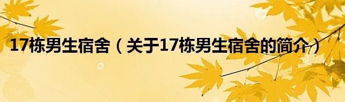 17栋男生宿舍（关于17栋男生宿舍的简介）