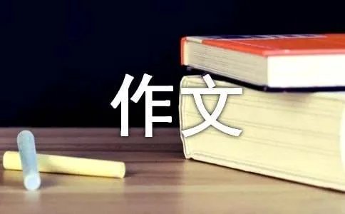 我的工作作文300字