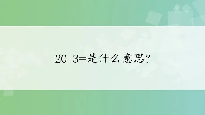 20 3=是什么意思？
