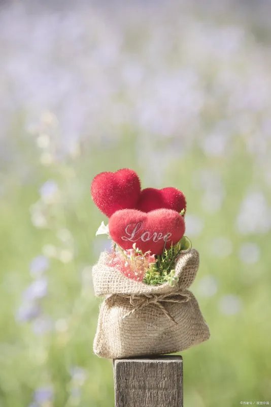 男不坏女更爱,这是真的吗?