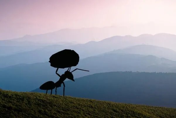 千里之堤毁于蚁穴体现了什么安全思想 千里之堤毁于蚁穴是什么意思